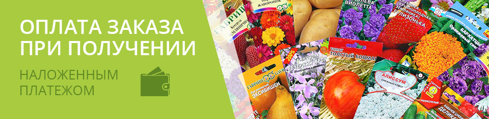 Семена Adamantseeds
