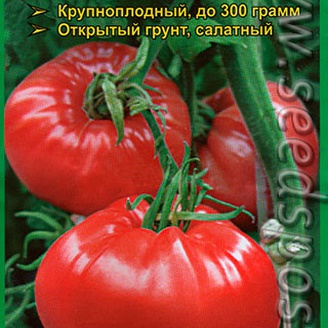 Томат Абруццо ЦВ 20с