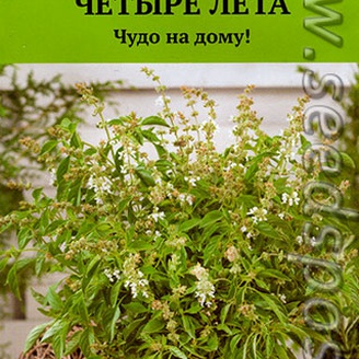 Базилик овощной Свежесть, 0,1 г Четыре лета