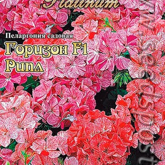 Пеларгония садовая Горизон Рипл F1, 5 шт. Platinum