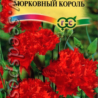 Гвоздика гренадин Морковный король, 0,1 г