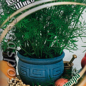 Кориандр Шико, 2 г Семена от автора