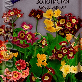 Примула золотистая Смесь окрасок, 0,01 г