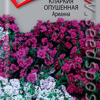 Кларкия опушенная Арианна, 0,1 г