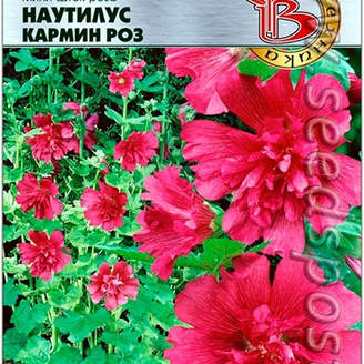 Мини Шток-Роза Наутилус Кармин Роуз, 8 шт.