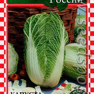Капуста пекинская Морило Сторидо F1, 16 шт.