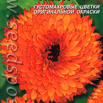 Календула Неон, 0,2 г