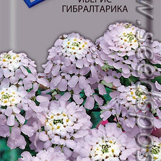 Иберис Гибралтарика, 0,1 г
