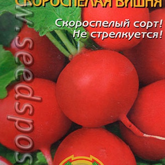 Редис Скороспелая вишня, 1 г