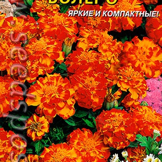 Бархатцы низкорослые Болеро, махровые, однолетник, 0,3 г