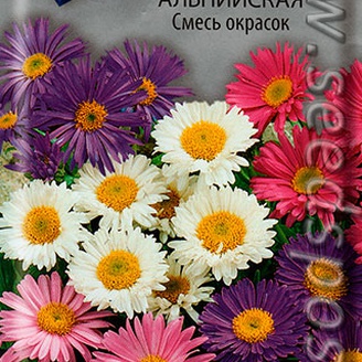 Астра альпийская Смесь окрасок, 0,3 г