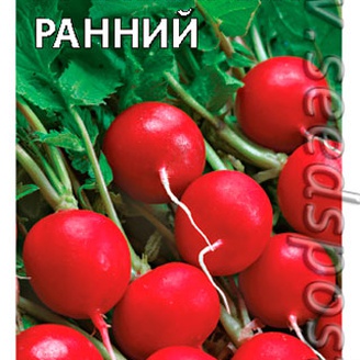 Редис Урожайный ранний, 3 г