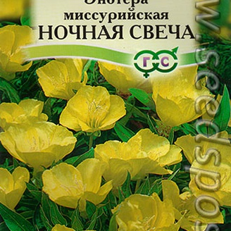 Энотера миссурийская Ночная свеча, 0,2 г