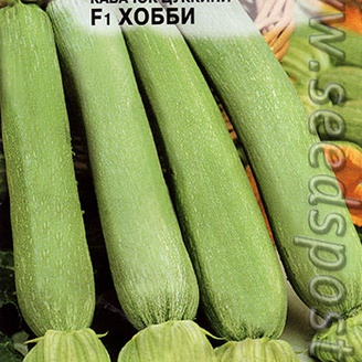 Кабачок цуккини Хобби F1, 6 шт.
