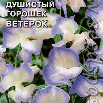 Душистый горошек Ветерок, 0,5 г