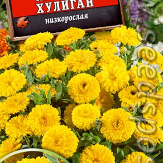 Календула Желтый хулиган, 0,3 г