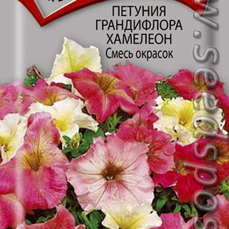 Петуния грандифлора Хамелеон Смесь окрасок, 10 шт.