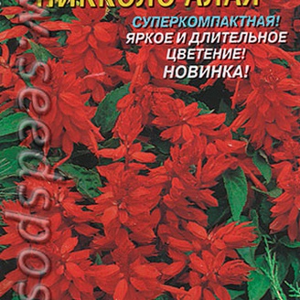 Сальвия суперкомпактная Пикколо Алая, 0,05 г