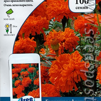 Бархатцы африканские Киз Оранж, 100 шт.