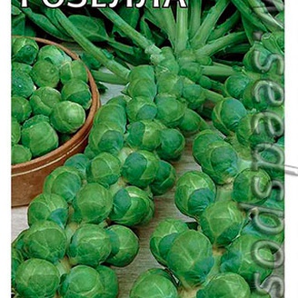 Капуста брюссельская Розелла, 0,1 г