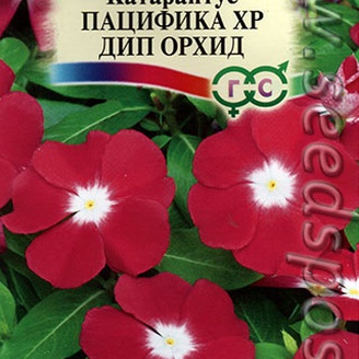 Катарантус Пацифика XP Дип Орхид, 7 шт. 