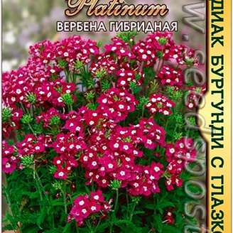 Вербена гибридная Зодиак Бургунди с глазком, 15 шт. Platinum
