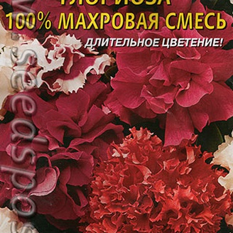 Петуния Глориоза 100% махровая F1, Смесь, 10 драже