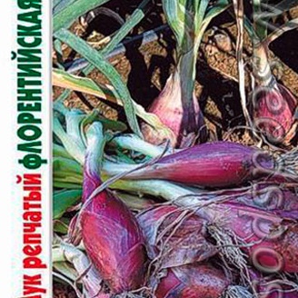 Лук репчатый Флорентийская торпеда, 0,3 г