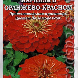 Цинния Маркиза в Оранжево-красном, 0,3 г