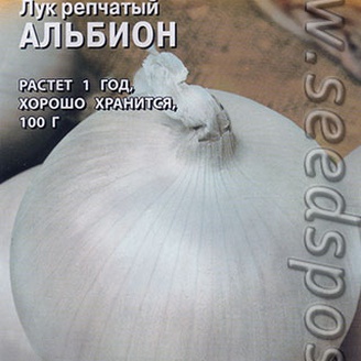 Лук репчатый Альбион, 0,2 г