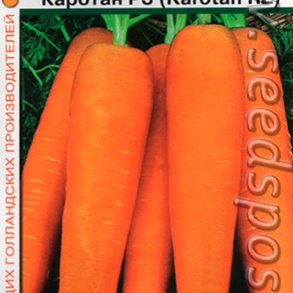 Морковь Каротан Р3, 150 шт.