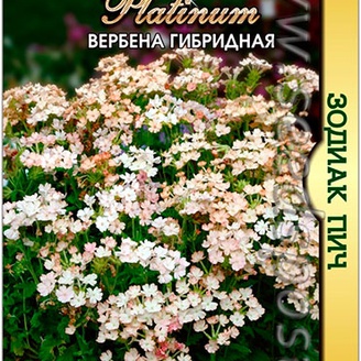 Вербена гибридная Зодиак Пич, 15 шт. Platinum
