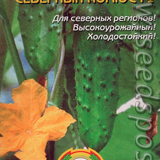 Огурец Северный полюс F1, 8 шт.