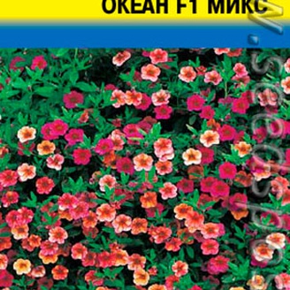 Петуния бэбитуния Океан Микс F1, 5 шт.