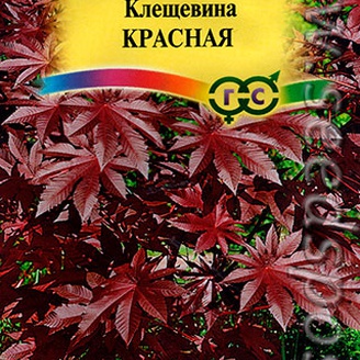 Клещевина Красная, 5 шт.
