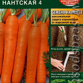 Морковь Нантская 4 (на ленте), 8 м  (Аэ)