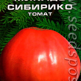 Томат Микадо Сибирико, 20 шт.