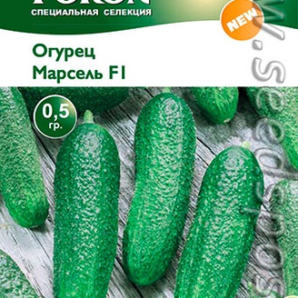 Огурец Марсель F1, 0,5 г
