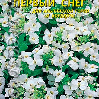 Арабис Первый снег, 0,1 г