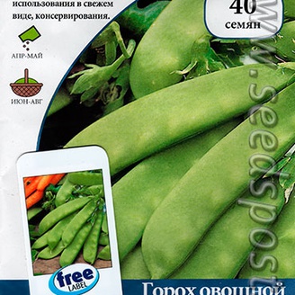 Горох Орегон Шуга, 40 шт.