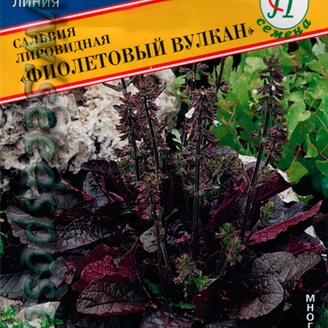Сальвия лировидная Фиолетовый вулкан, 10 шт.