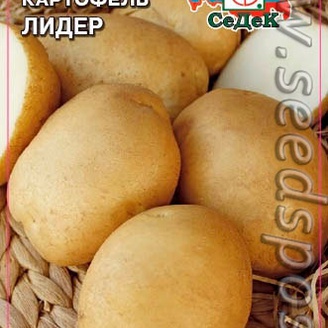 Картофель Лидер, 0,02 г (~ 30-40 шт. ботанических семян)