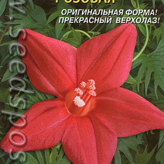 Ипомея Квамоклит Розовая, 10 шт.