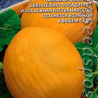 Дыня Сибирская Медовая F1, 0,5 г Сибирская серия