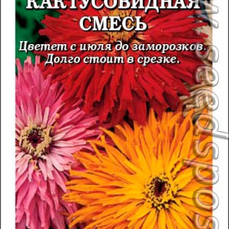 Цинния Кактусовидная, Смесь, 0,3 г