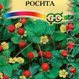 Дюшенея индийская Росита, 20 шт.