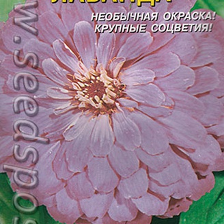 Цинния Лаванда, 0,3 г