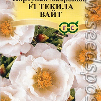 Портулак махровый Текила Вайт F1, 5 шт. Элитная клумба