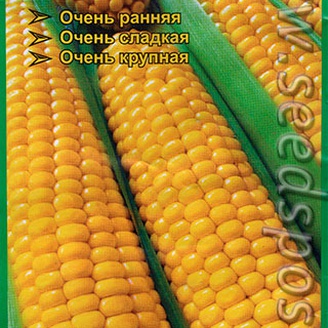 Кукуруза сахарная Спирит F1, 4 г