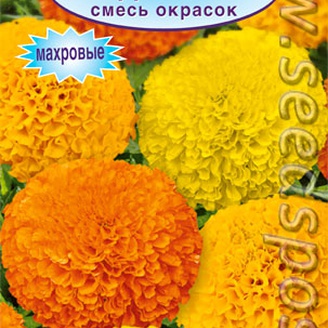 Бархатцы прямостоячие Дюна, Смесь, 10 шт.